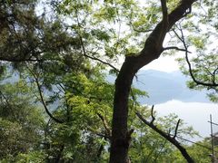 -子昂故里文化旅游区
