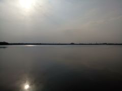 -鹅湖玫瑰文化园
