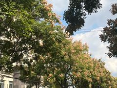 -乐刻健身(利邻荟合川店)