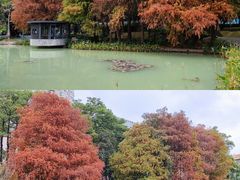 -四海公园(南山区)