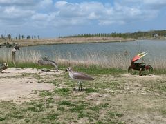 -盐城丹顶鹤湿地生态旅游区