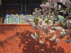 -洛阳白马寺
