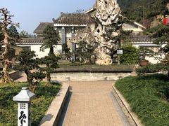 -老幺泉水鸡