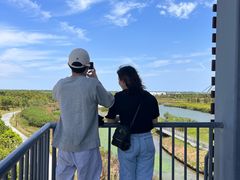 -春花秋色城市公园