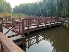 -丰台科技园生态主题公园
