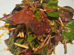 折耳根-三江里·宜宾川菜(亚运村店)