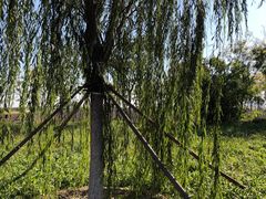 -天津东丽湖风景区