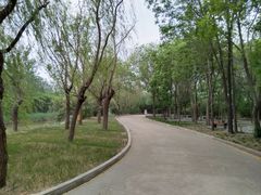 -塘沽森林公园