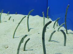 -上海海洋水族馆