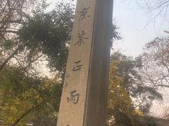 -龙井壹号·茶缘山景宴(龙井村店)
