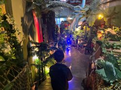 -恐龙探索乐园(磁器口店)