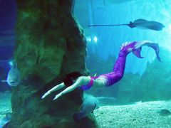 -北戴河圣蓝海洋公园