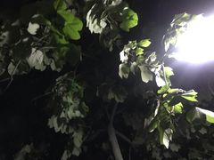 -沣峪森林公园龙潭戏水景区