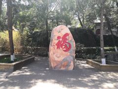 -北京鹫峰国家森林公园