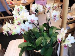 -湯系·煲汤手艺人(东二环泰禾广场店)