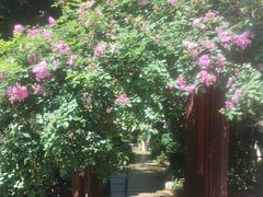 -谷咖啡·鲜花绿植花园餐厅