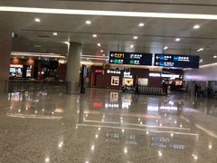 -上海浦东国际机场-T2航站楼