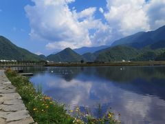 -大九湖
