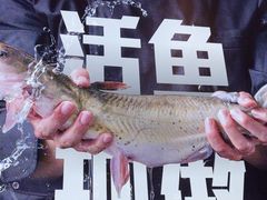 -老板恋上鱼(恒隆广场店)