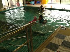 -BlueBubble蓝泡泡婴幼儿游泳会所(合川路店)