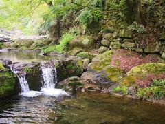 -山沟沟景区