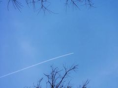 -维乐口腔医院(星海湾分院)