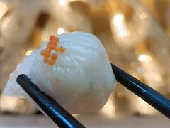 粤式早茶天花板-红燕阁·中餐厅·粤式早茶·海南特色菜(红燕堂酒店)