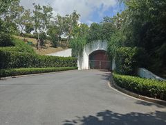 -吴淞炮台湾湿地森林公园烧烤区