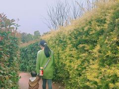 -铁山坪森林公园