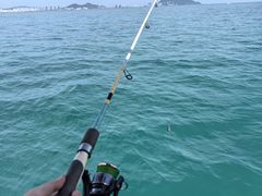 -小猫钓鱼海钓俱乐部(椰梦长廊店)