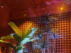 -泰适SPA馆丨精油·按摩·足道(购物公园店)