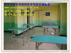 -优缇多格专业宠物美容师培训学校