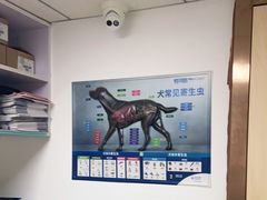 -宠颐生宠物医院外科·内科·皮肤科·影像科(石龙店)
