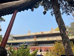 -潭柘寺景区