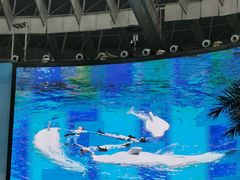 -海合安成都极地海洋公园