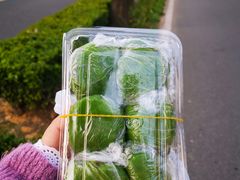 -乔家栅(襄阳南路店)