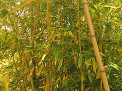-嘉北郊野公园