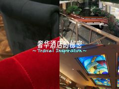 -白天鹅宾馆-宏图府餐厅