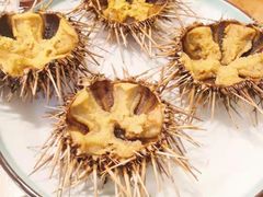 -海胆小馆(东北水饺·春柳店)