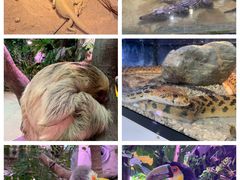 -正佳雨林生态植物园