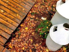 -塞罕坝国家级自然保护区