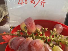 -马陆小张葡萄园农家乐