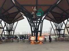 -上海长兴岛郊野公园