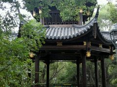 -金鸡山公园