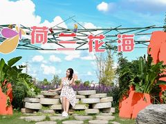-荷兰花海
