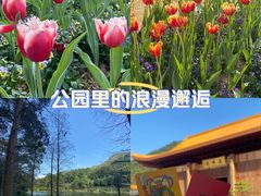 -深圳市中科院仙湖植物园