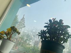 -美联众合动物医院·24h京西诊疗中心