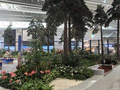 -青岛胶东国际机场