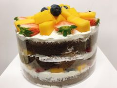 -维尔纳斯·生日蛋糕·动物奶油冰淇淋蛋糕(雨花店)