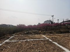 -川南大草原